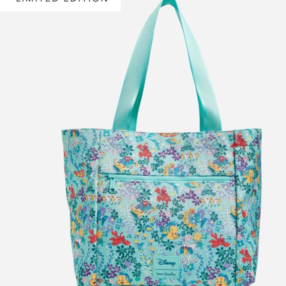 Disney tote and beach towels